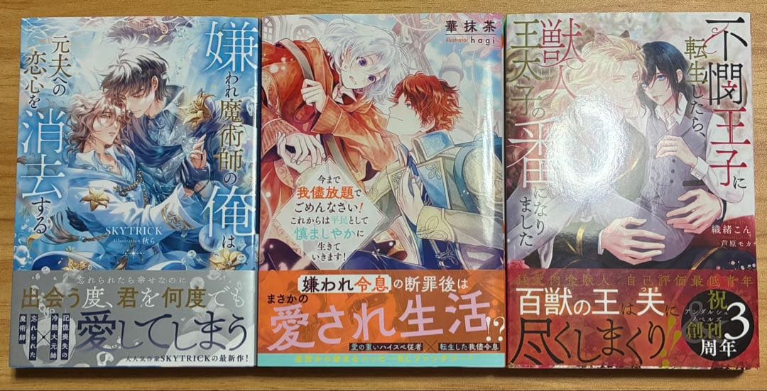 BL小説　まとめ売り　セット