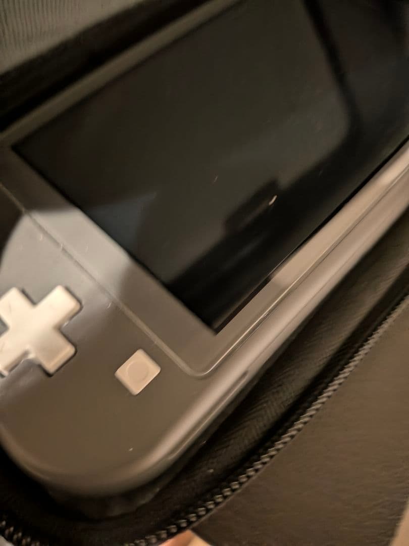 Nintendo Switch Lite グレー 本体（保護ガラス付）　ケース付