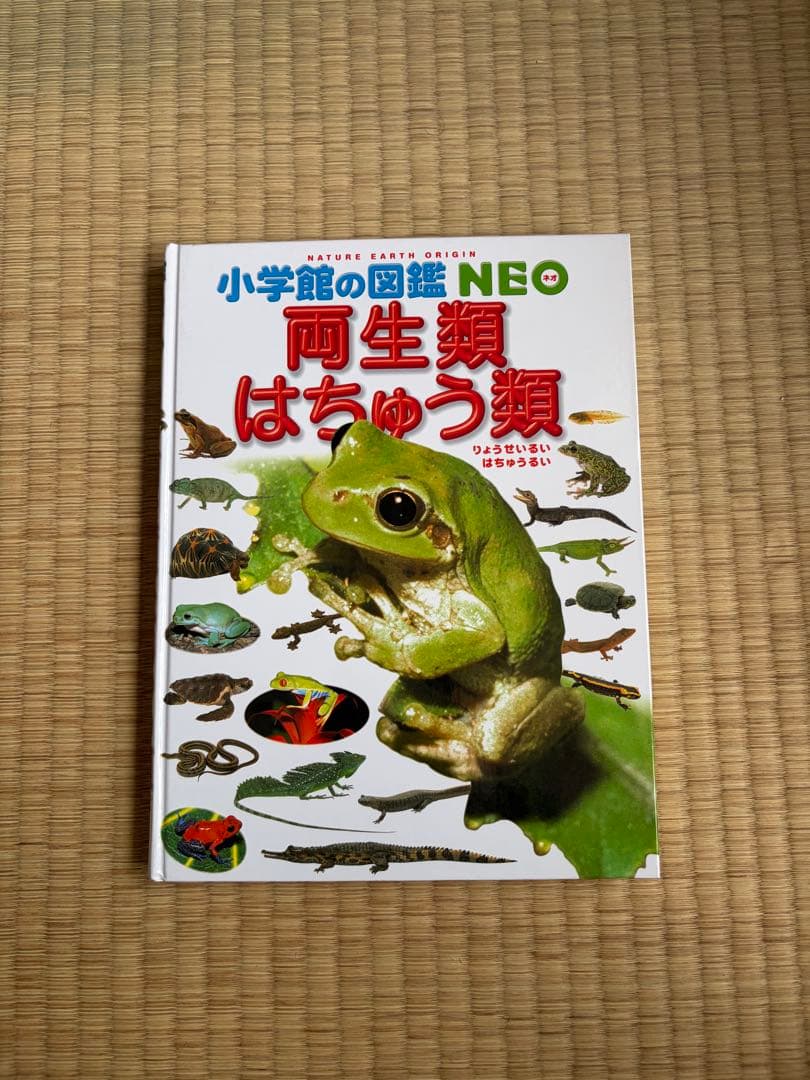 小学館の図鑑neo 12冊セット