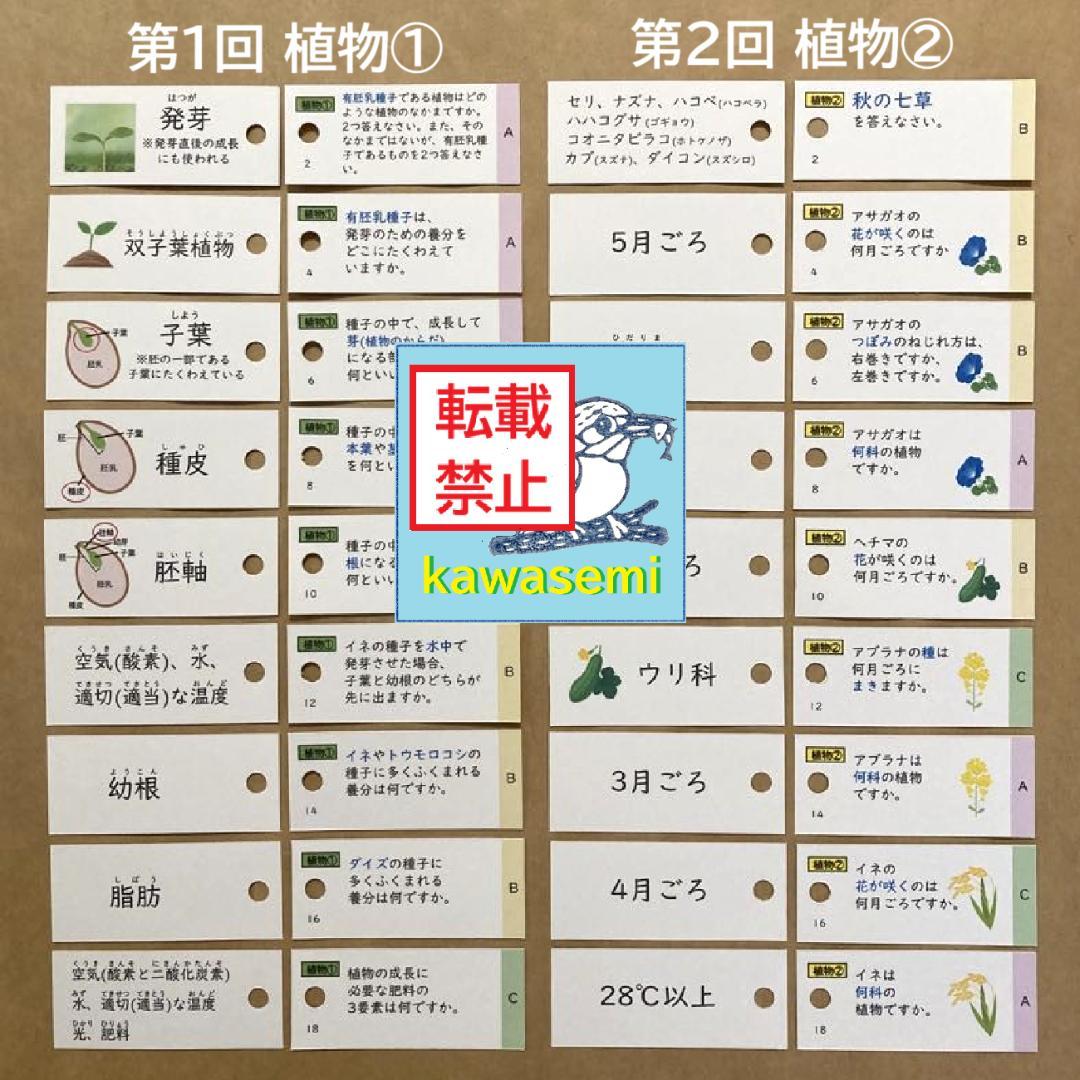 カット済【中学受験】理科の基本事項 知識編 理科 生物セット 暗記カードb