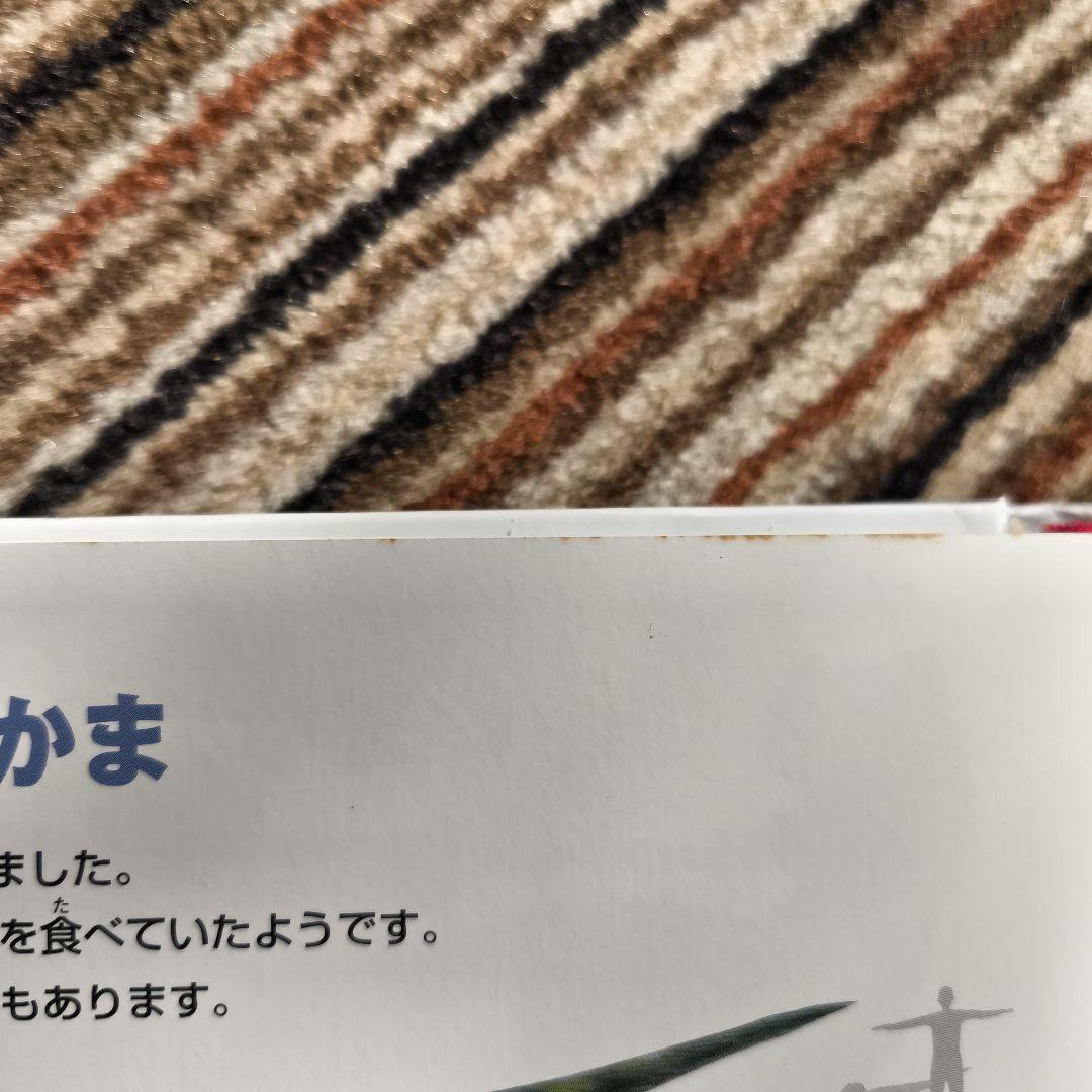 小学館の図鑑NEO 13巻セット＆こども大百科·大図解