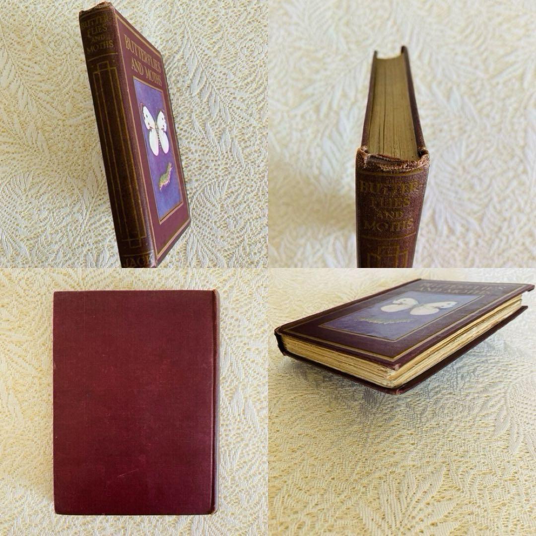 洋書　古書　イギリスの蝶と蛾の図鑑　優雅なカラー図版と趣のある美しい装丁♡