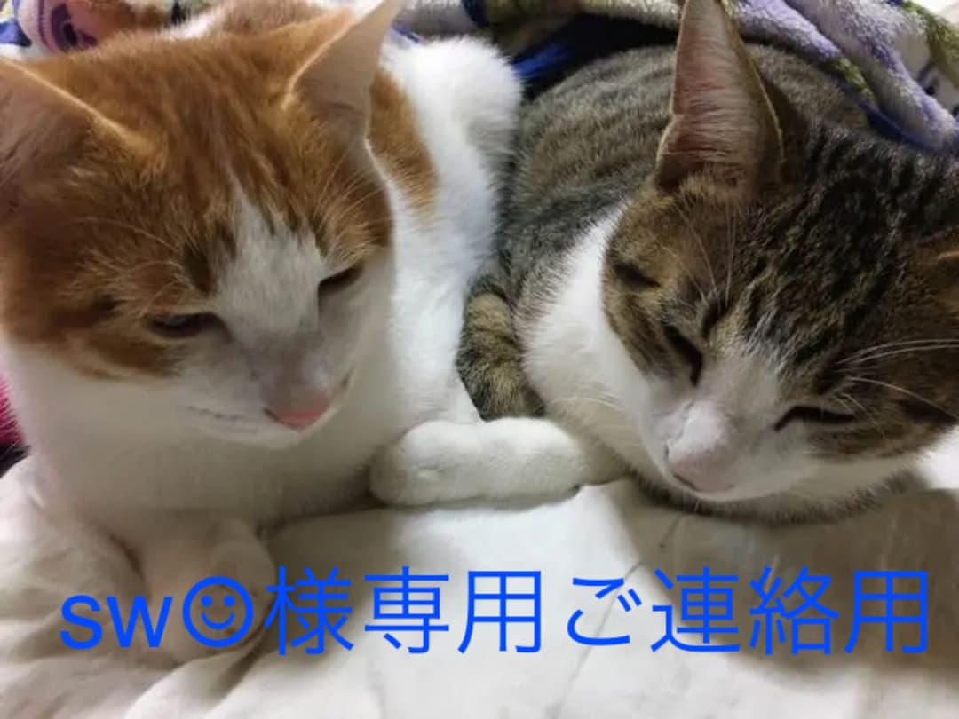sw☺︎様      専用