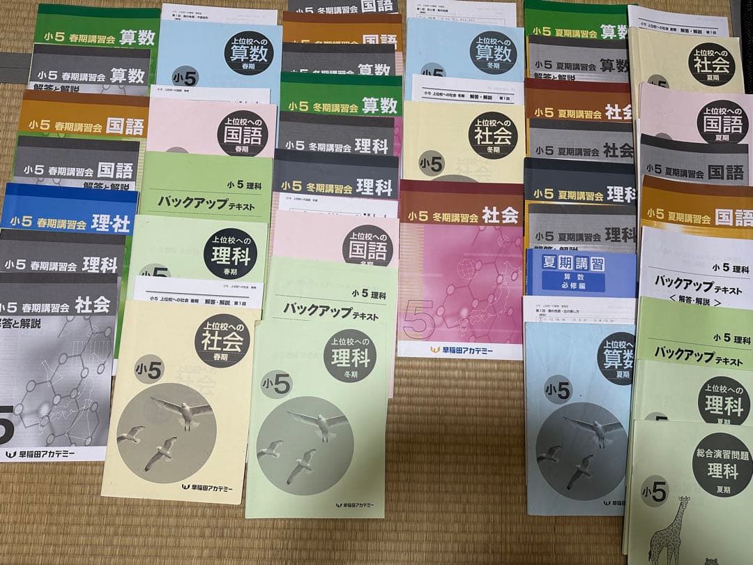 早稲田アカデミー小５春、夏、冬講習