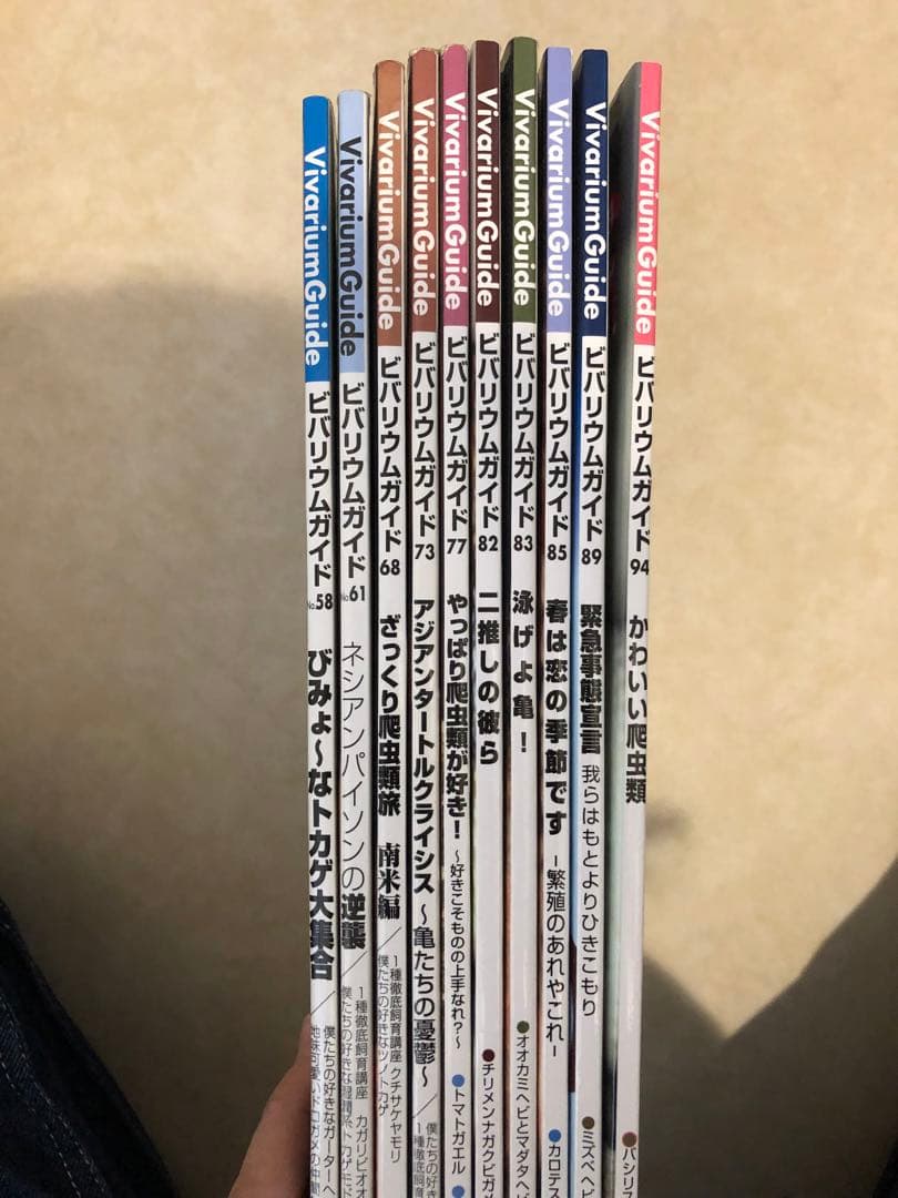 ビバリウムガイド　バラ売り要相談‼︎