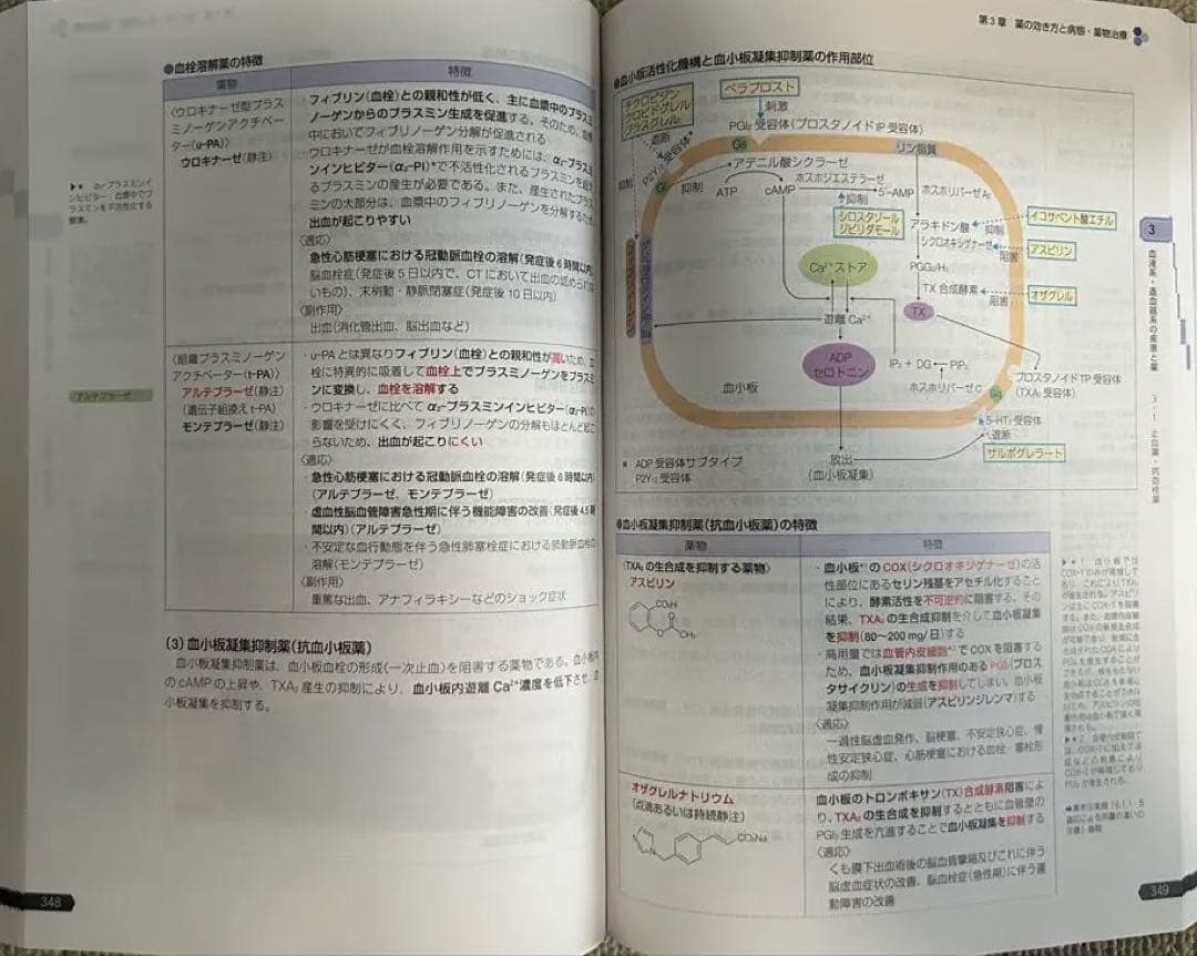 【第110回 改訂第14版 薬剤師国家試験対策参考書】9巻セット 薬ゼミ 青本
