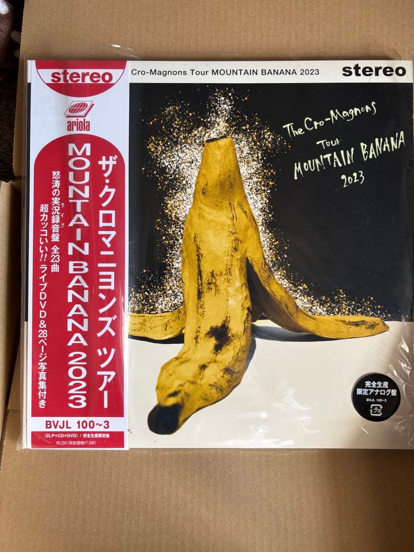 ザ・クロマニヨンズ ツアー MOUNTAIN BANANA 2023
