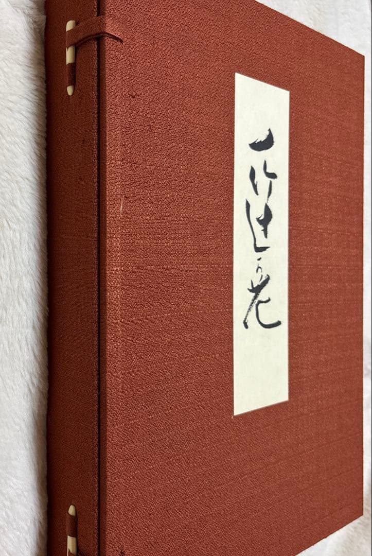 値下げ！一竹辻が花
