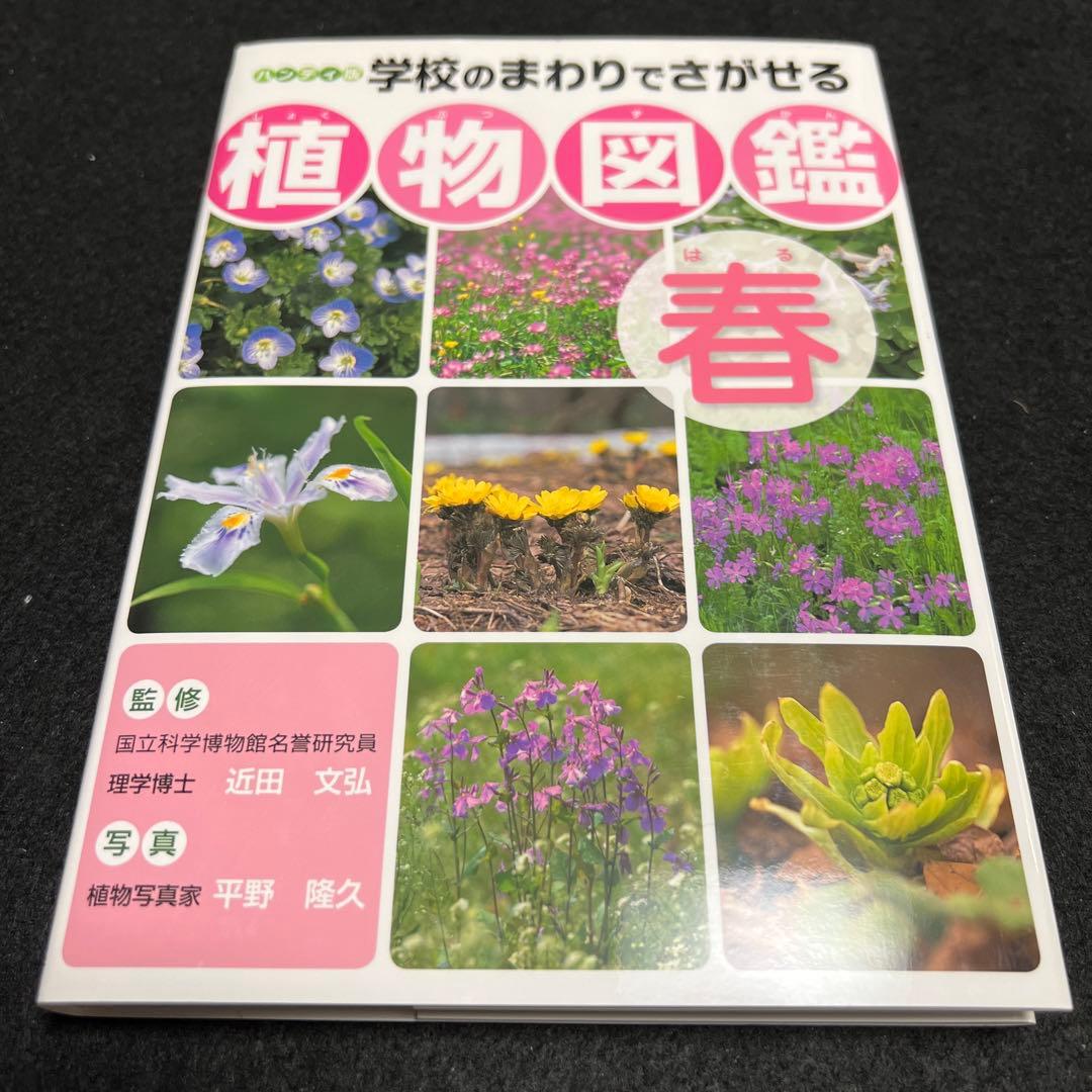 学校のまわりでさがせる植物図鑑 ハンディ版 春 夏 秋冬 樹木 全4冊セット