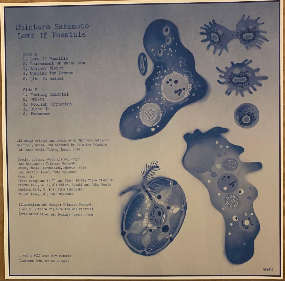 邦楽 Shintaro Sakamoto Love If Possible LP