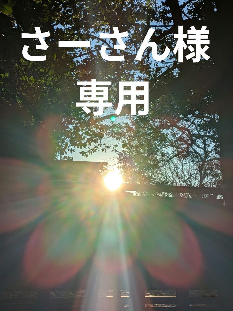 ブリジストン電動アシスト自転車♢送料込♢2022/2購入物置保管♢ベルト式