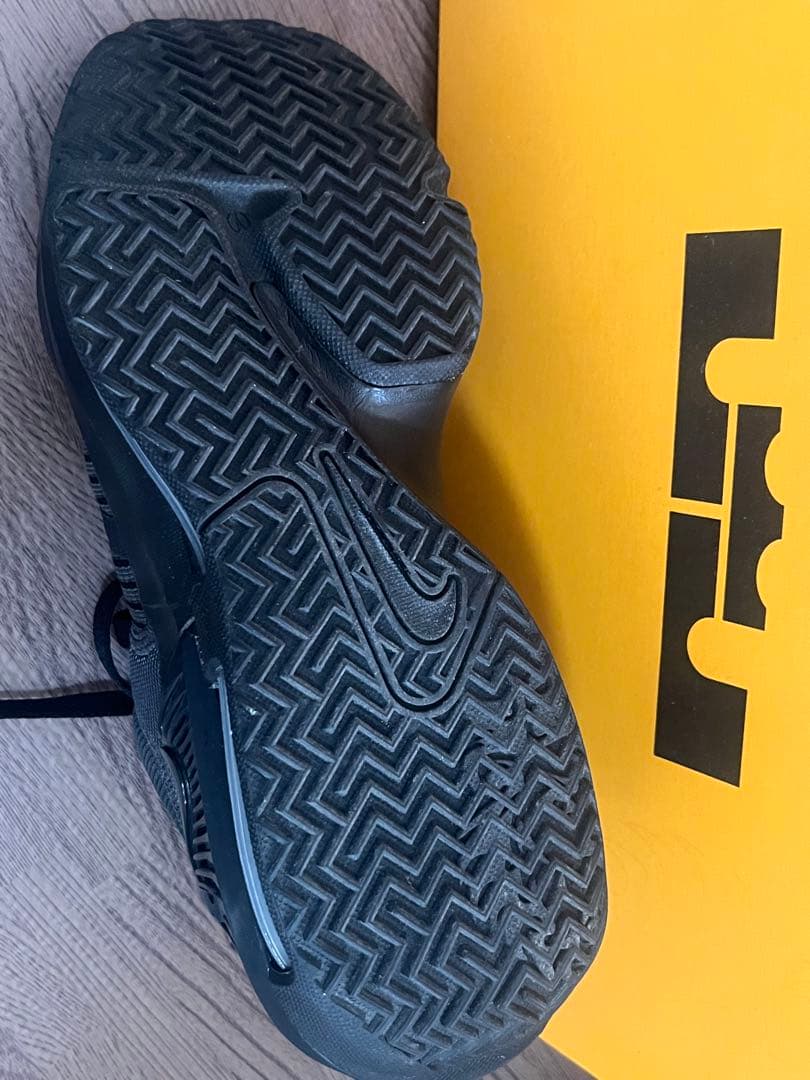 LEBRON WITNESS VII EP 25cm 美品