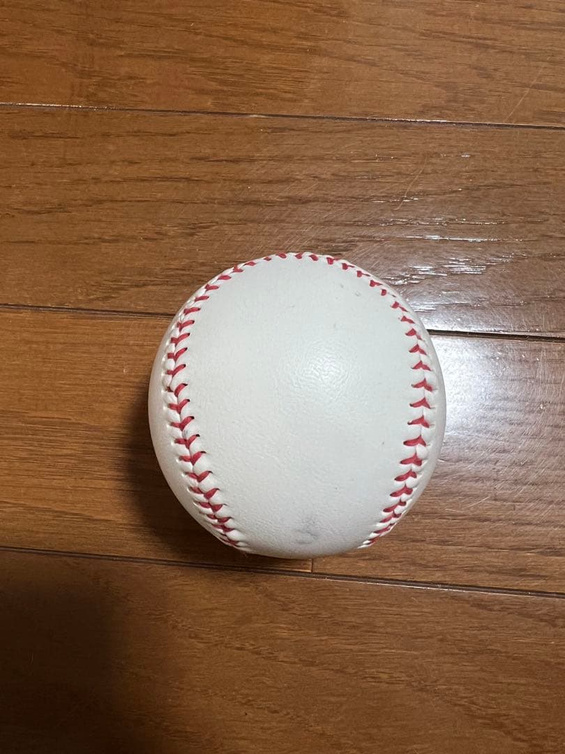 中村悠平 東京ヤクルトスワローズ 投げ込み 公式 直筆サインボール