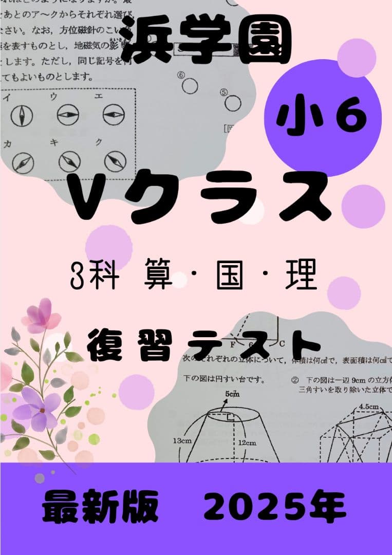 浜学園　小6　2025年 最新版　Vクラス　復習テスト　実力〜No.39