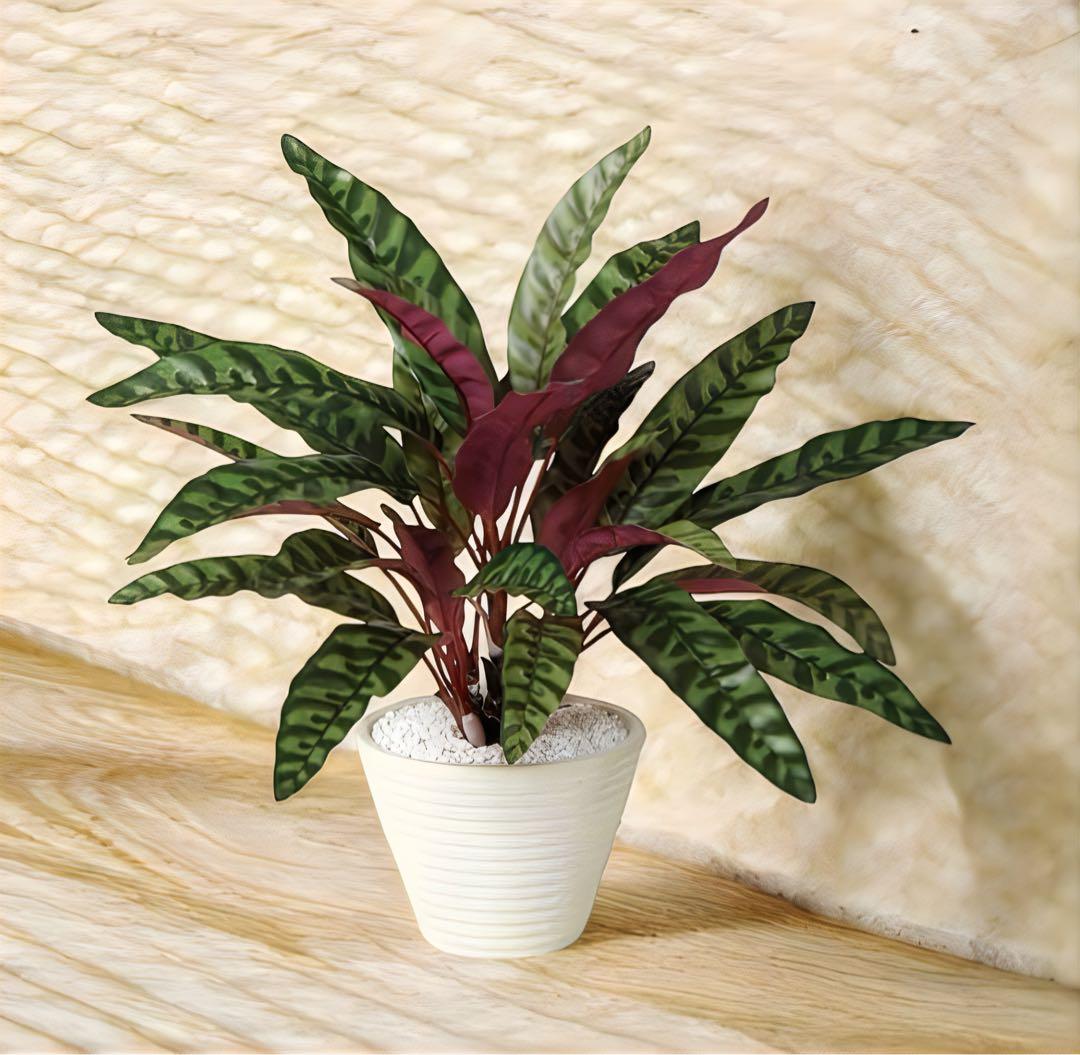 光触媒　人工観葉植物　ウォールグリーン　フェイクグリーン　ランキフォリア 40