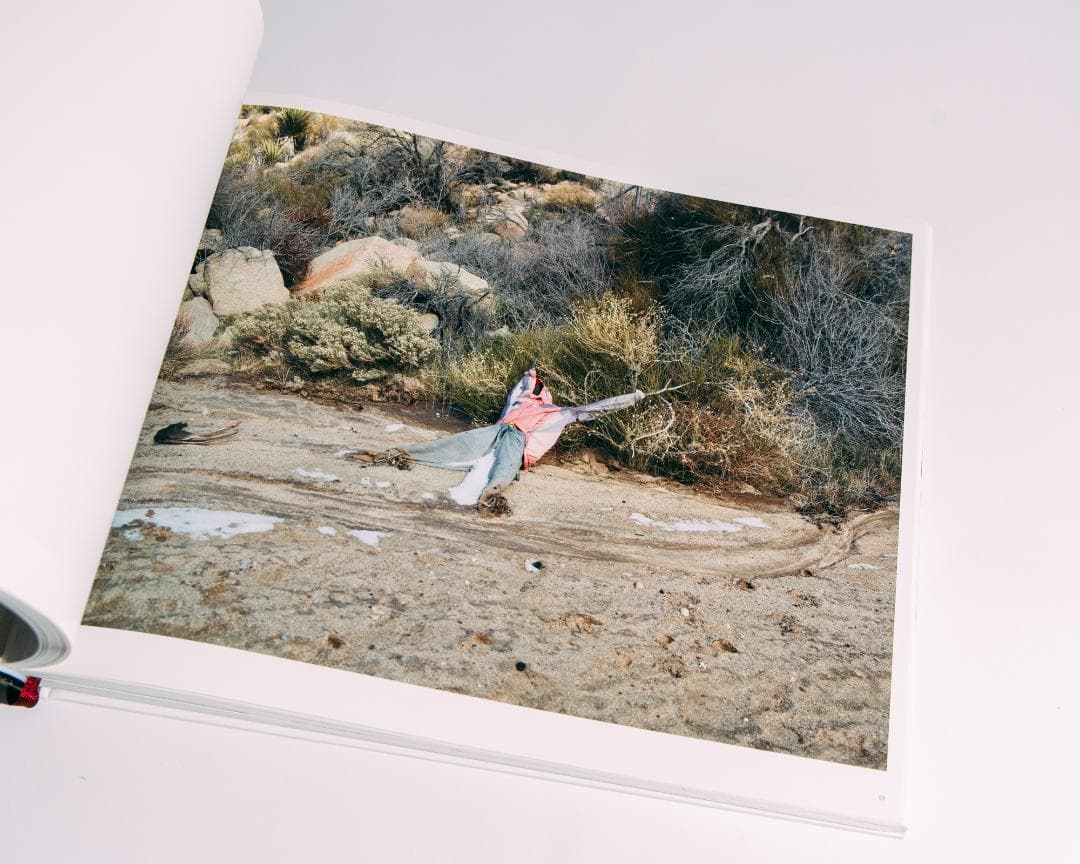 アート・デザイン・音楽 Richard Misrach Border Cantos