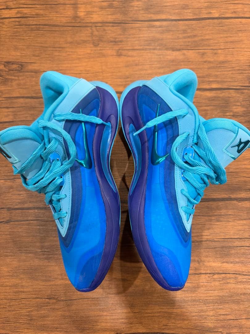 Nike A'One エイジャウィルソン 海外限定 29cm エーワン